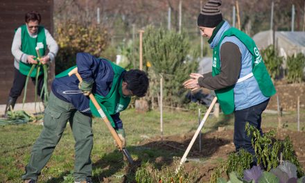 Guardie Ecologiche Volontarie, GEV