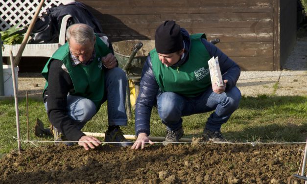 Guardie Ecologiche Volontarie, GEV