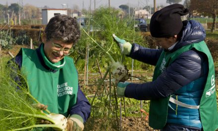 Guardie Ecologiche Volontarie, GEV