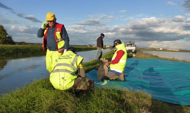 Emergenza ambientale, messa in sicurezza del canale Fumolenta