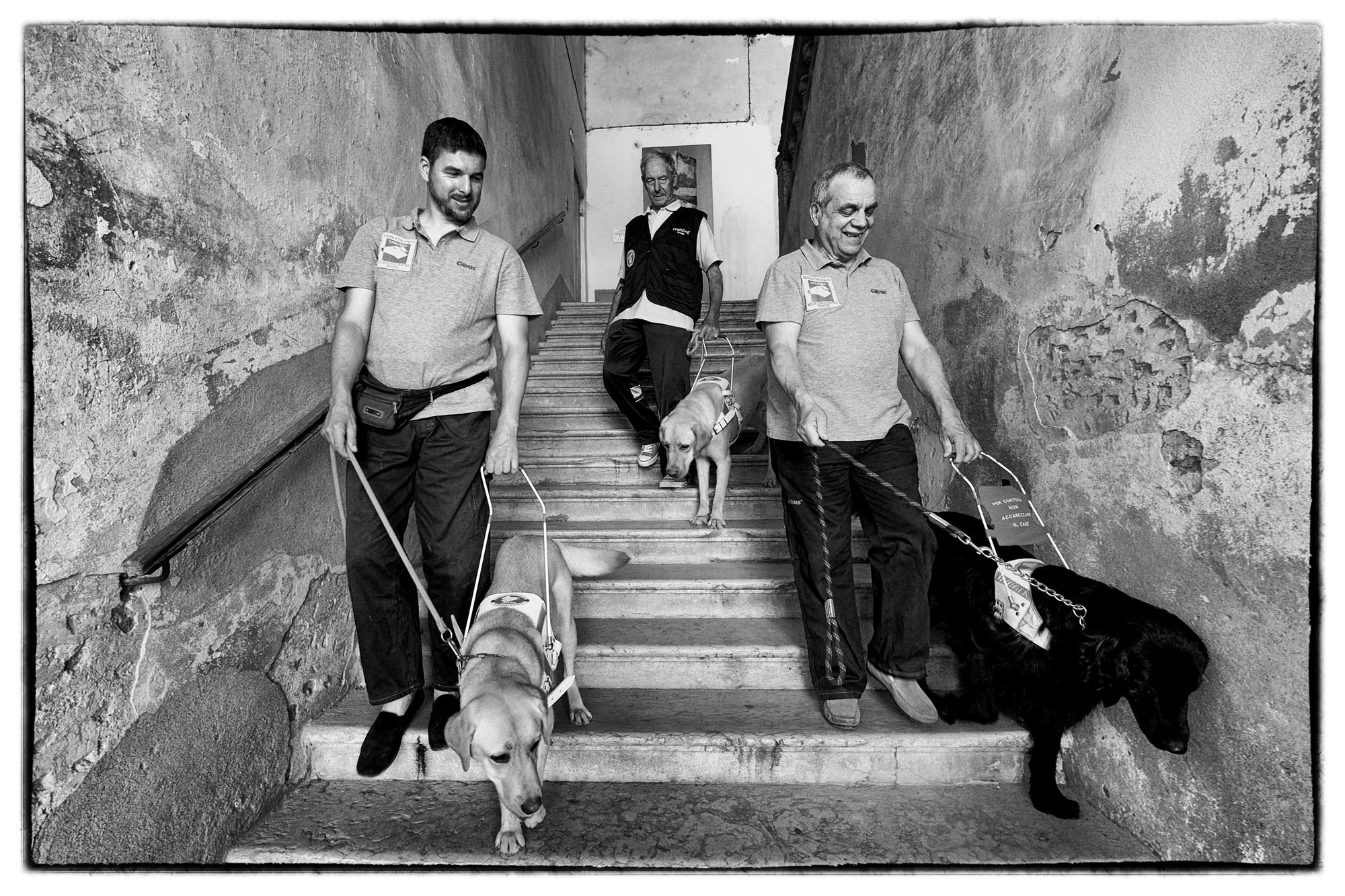 0708P1 ass.sociale veneto04 - Addestramento cani guida, puppy walkers