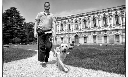 Addestramento cani guida, puppy walkers