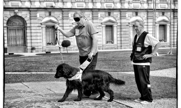 Addestramento cani guida, puppy walkers