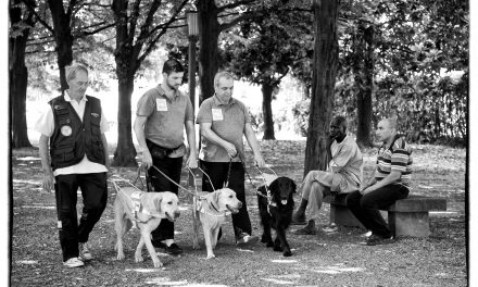 Addestramento cani guida, puppy walkers