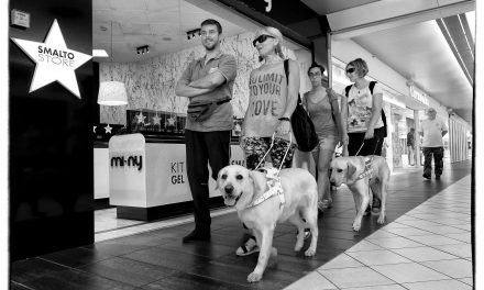 Addestramento cani guida, puppy walkers