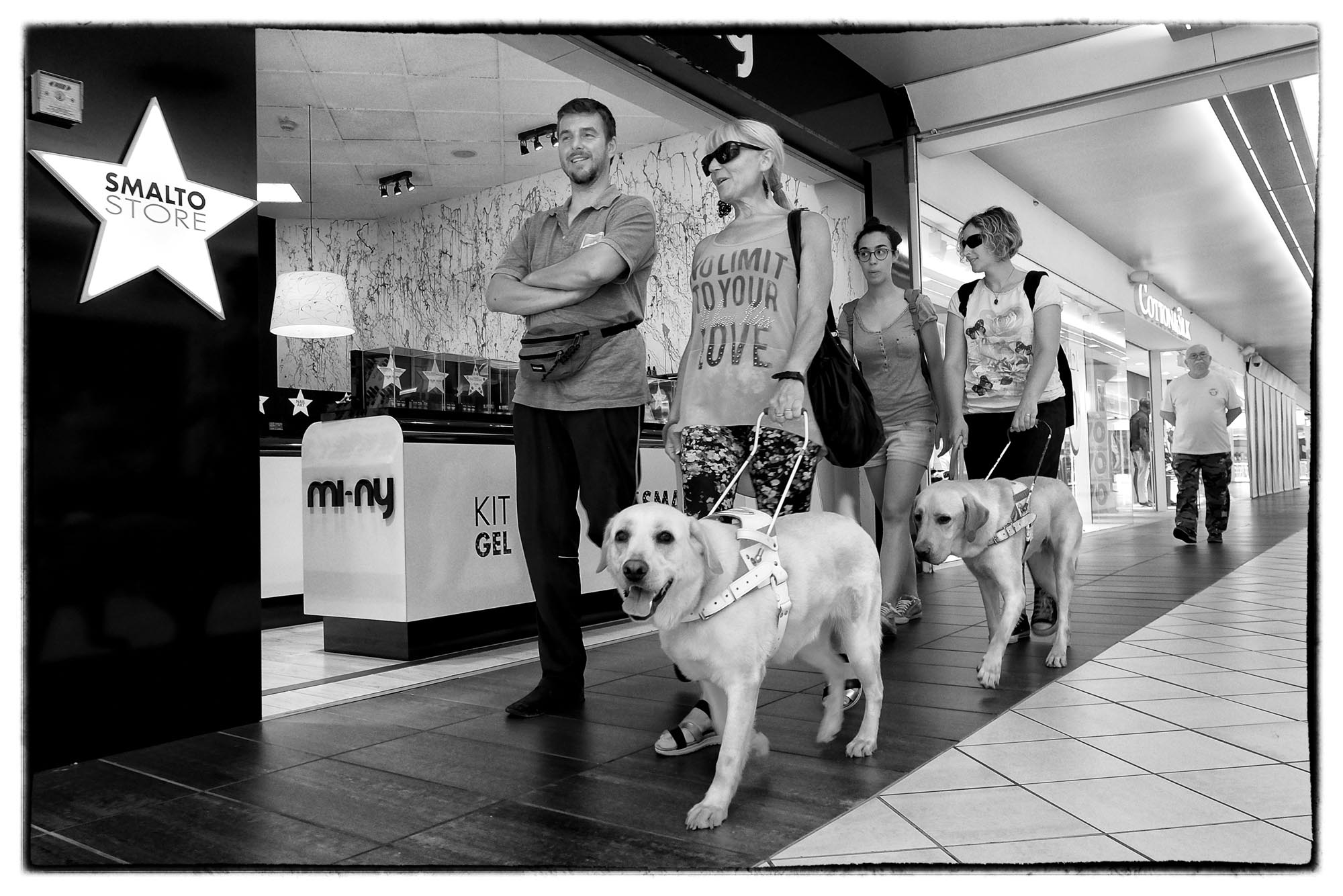 0708P1 ass.sociale veneto12 - Addestramento cani guida, puppy walkers
