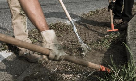 Ecovolontari Rivaltesi, adotta una rotonda