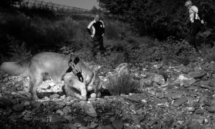 Protezione civile, unità cinofila