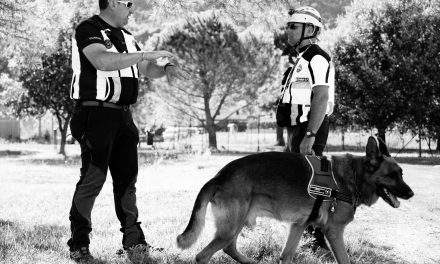 Protezione civile, unità cinofila