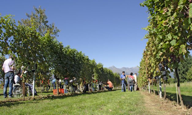 Agricoltura, un sorriso per tutti