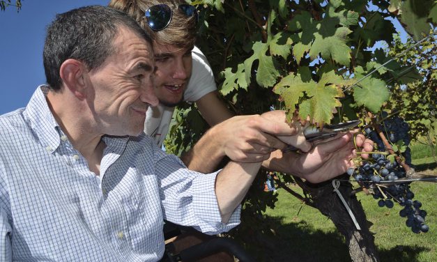 Agricoltura, un sorriso per tutti