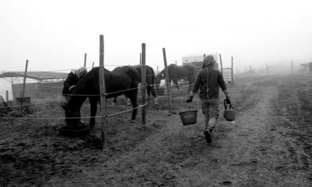 Protezione animali, HIP routine quotidiana