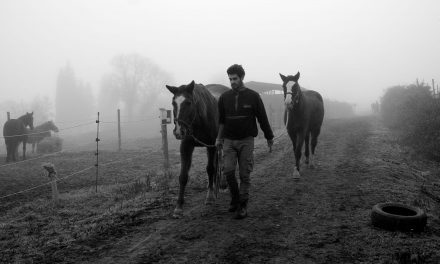 Protezione animali, HIP routine quotidiana