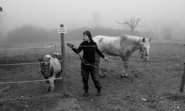 Protezione animali, HIP routine quotidiana